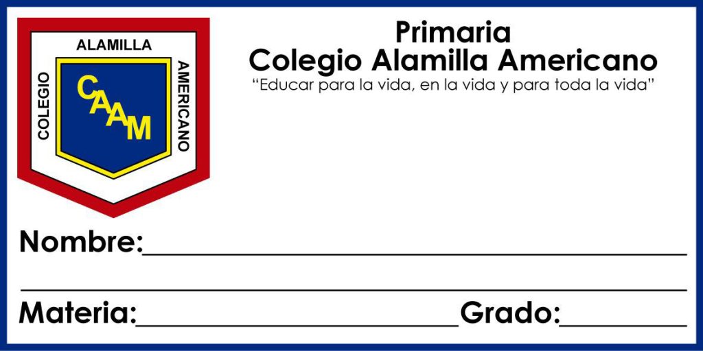 Primaria2020